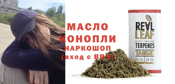 PSILOCYBIN Аркадак