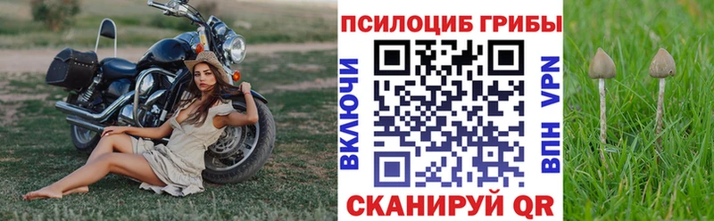 Псилоцибиновые грибы MAGIC MUSHROOMS Сергач